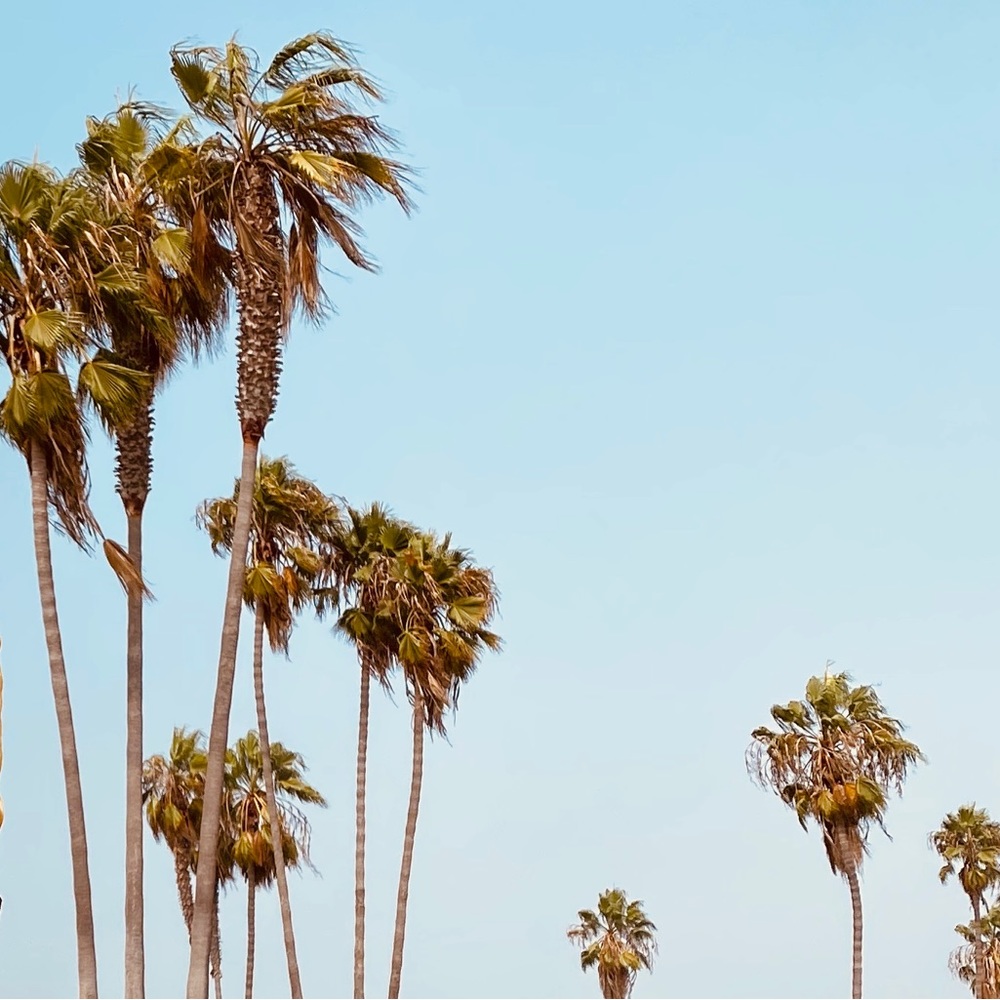 Meet your Posher, California